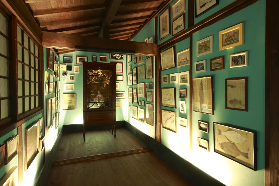 漁師の夢 | 作品 | 瀬戸内国際芸術祭2025