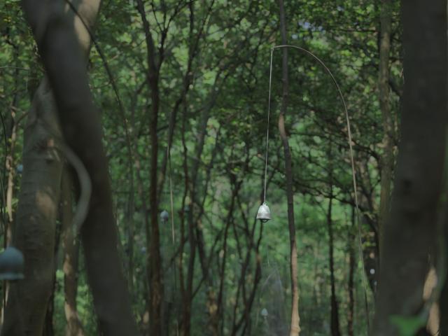 青木野枝　作品集「kameike-hasuike」より① 限定25 Publications - gallery21yo-j
