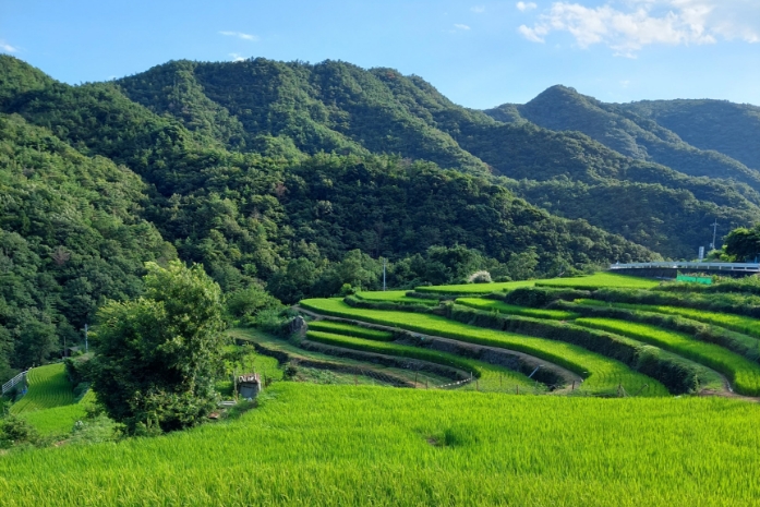 Overview | First Time Visitors | Setouchi Triennale 2025